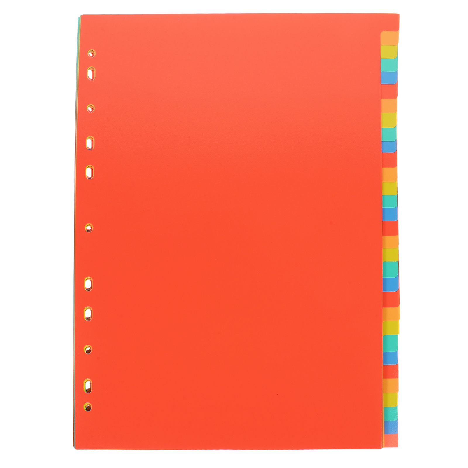 A4 Index Pages Plastic Binder  - Tab Divider A4 recensione e prezzo