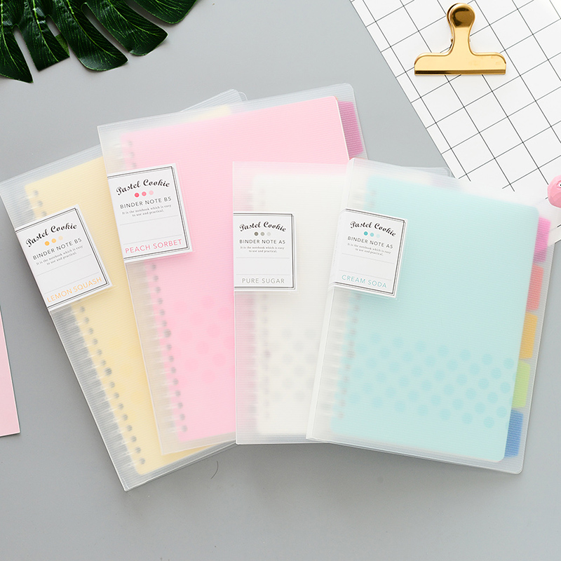 1Pc KOKUYO Loose Leaf Notebook - Binder A4 Lever recensione e prezzo