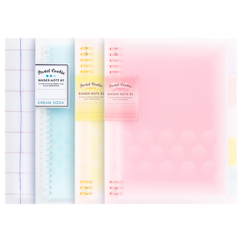 1Pc KOKUYO Loose Leaf Notebook - Binder A4 Lever recensione e prezzo