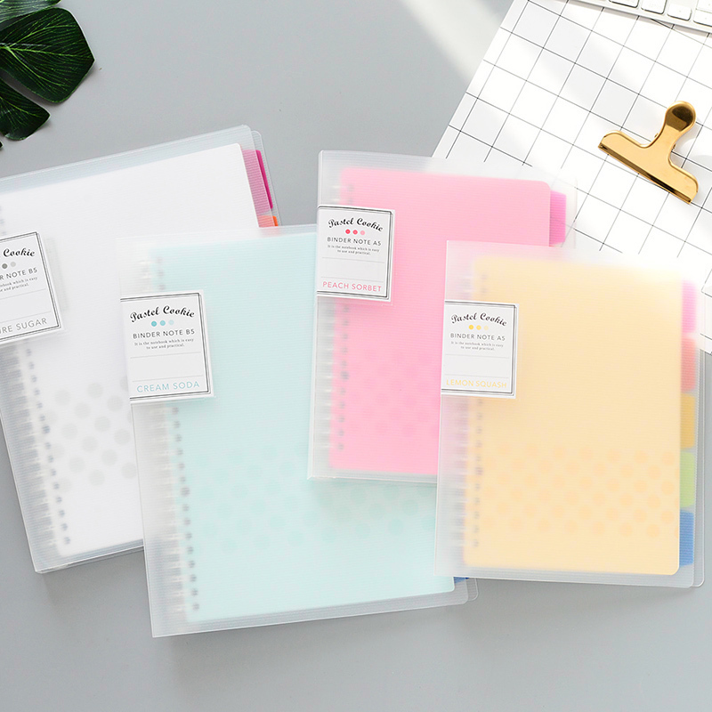 1Pc KOKUYO Loose Leaf Notebook - Binder A4 Lever recensione e prezzo