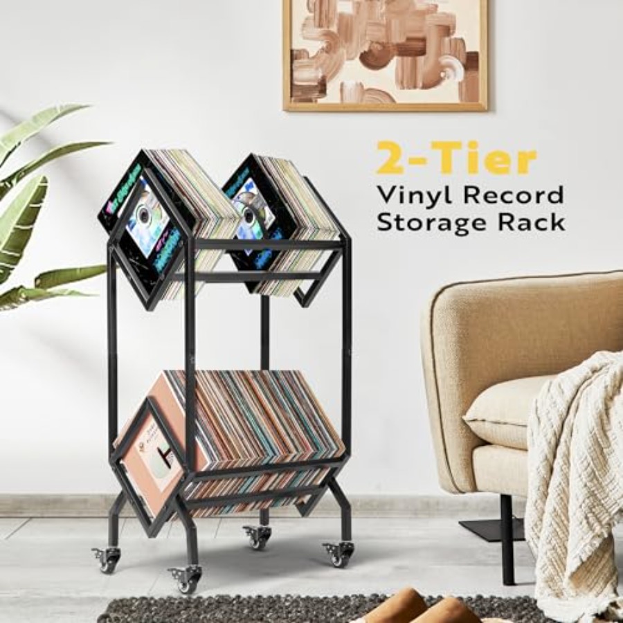 Vinyl Record Storage Rack, 2 T - Magazine Holder Rack recensione e prezzo