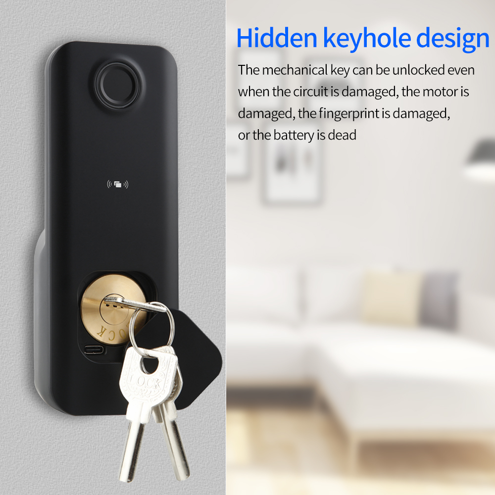 Bluetooth Fingerprint Door Loc - Letter Opener Brass recensione e prezzo