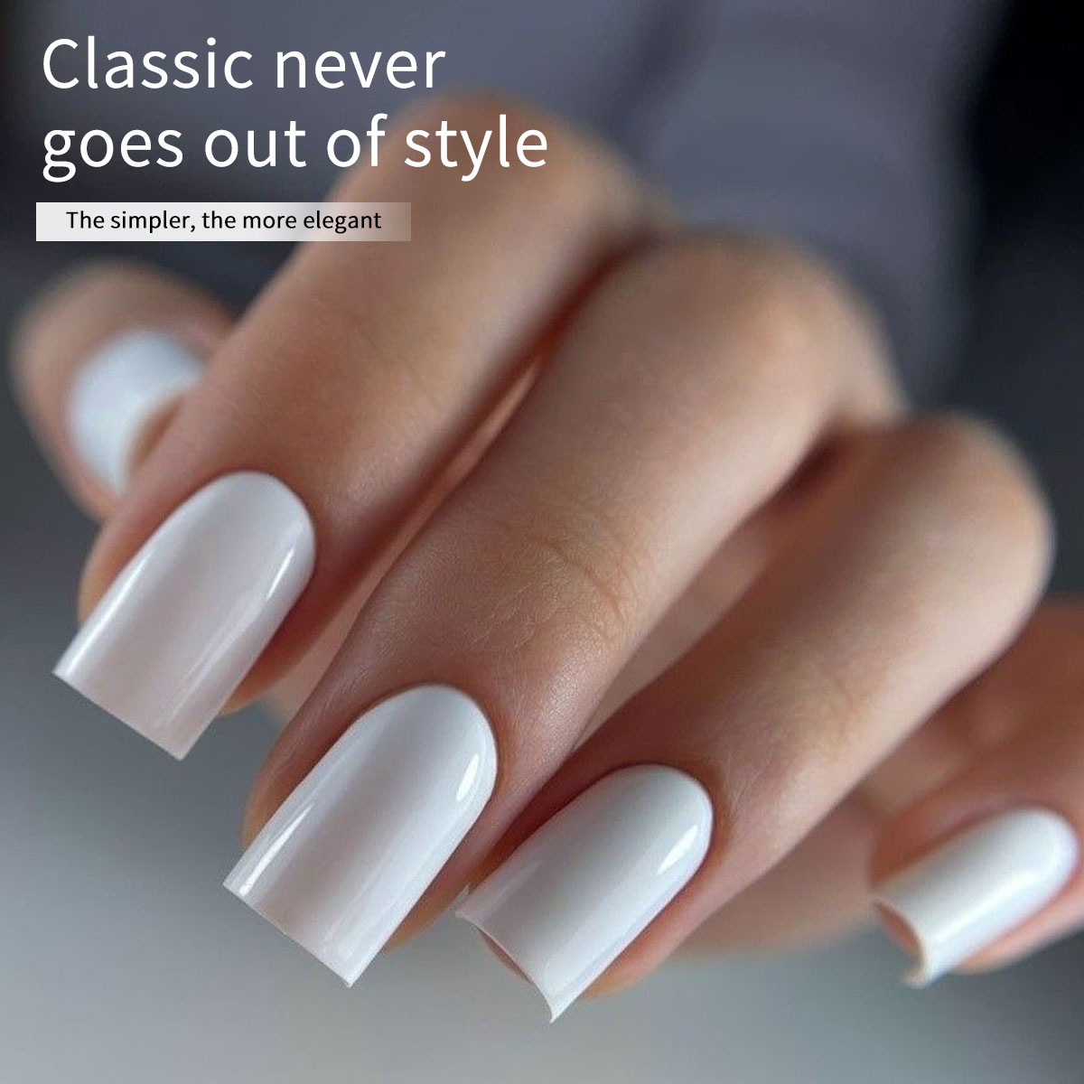 Hassleless 2-Pack Pure White + - Gel Refill Pack recensione e prezzo