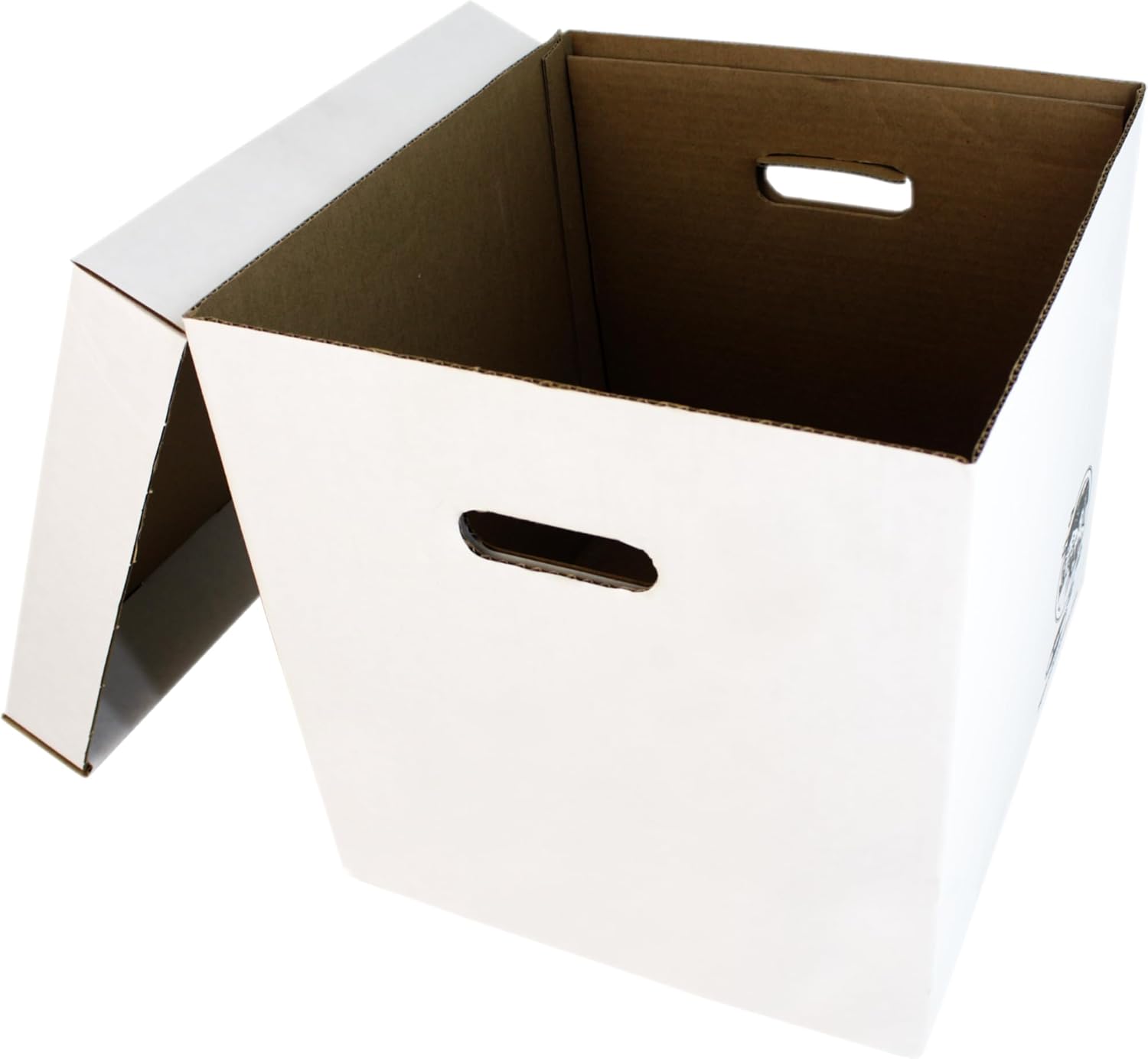 Set of 5 Heavy-Duty 12-Inch Vi - Archive Box Set recensione e prezzo
