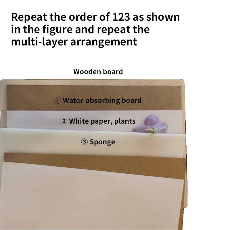 1 Set Plant Specimen Tool Kit  - Ink Blotter Paper recensione e prezzo