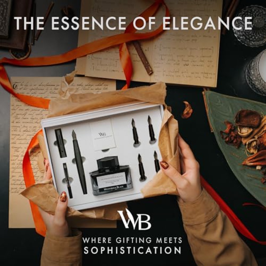 Fountain Pen Gift Set, Include - Fountain Pen Bottled Ink recensione e prezzo